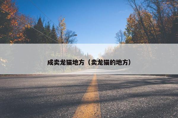 成卖龙猫地方（卖龙猫的地方）