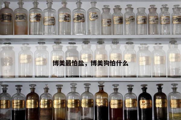 博美最怕盐，博美狗怕什么