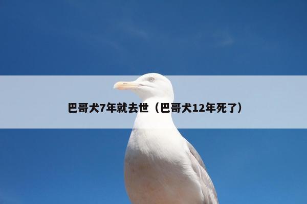 巴哥犬7年就去世（巴哥犬12年死了）