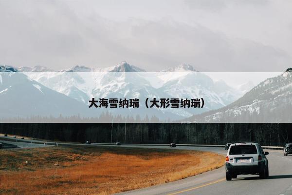 大海雪纳瑞（大形雪纳瑞）