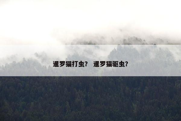 暹罗猫打虫? 暹罗猫驱虫?