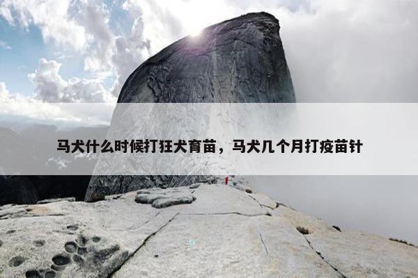 马犬什么时候打狂犬育苗，马犬几个月打疫苗针