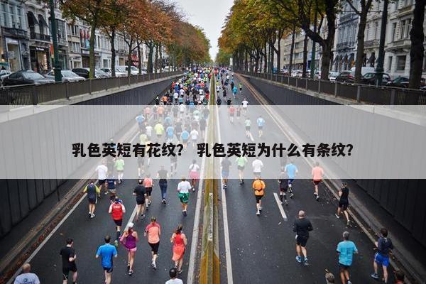 乳色英短有花纹? 乳色英短为什么有条纹?