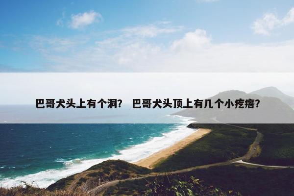 巴哥犬头上有个洞？ 巴哥犬头顶上有几个小疙瘩？