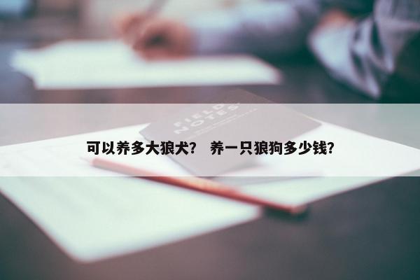 可以养多大狼犬？ 养一只狼狗多少钱？