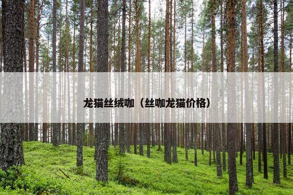 丝绒
