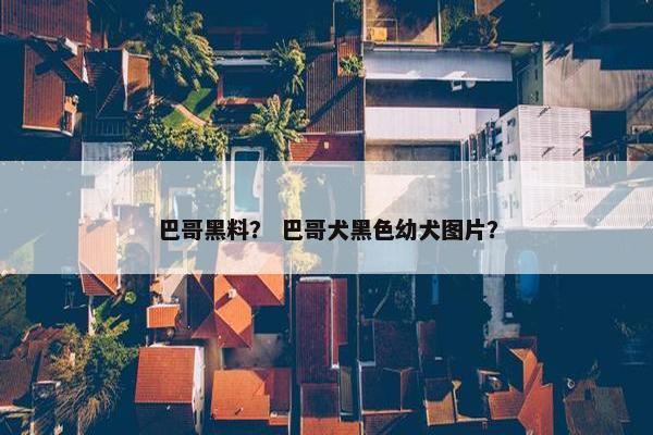 巴哥黑料？ 巴哥犬黑色幼犬图片？