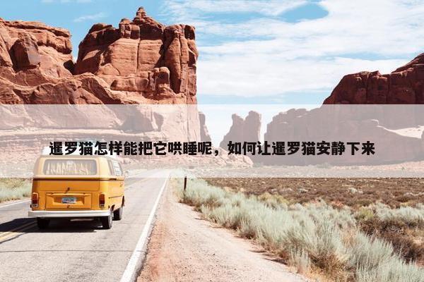 暹罗猫怎样能把它哄睡呢，如何让暹罗猫安静下来