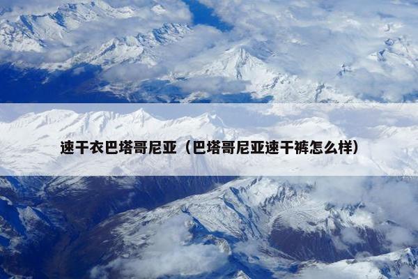 速干衣巴塔哥尼亚（巴塔哥尼亚速干裤怎么样）
