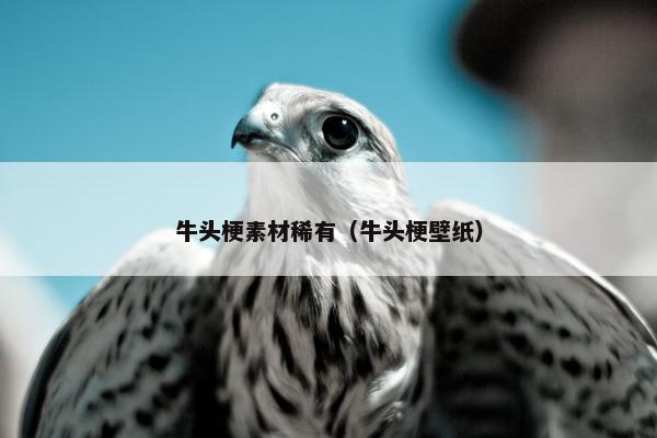 手办