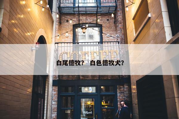 白尾德牧？ 白色德牧犬？