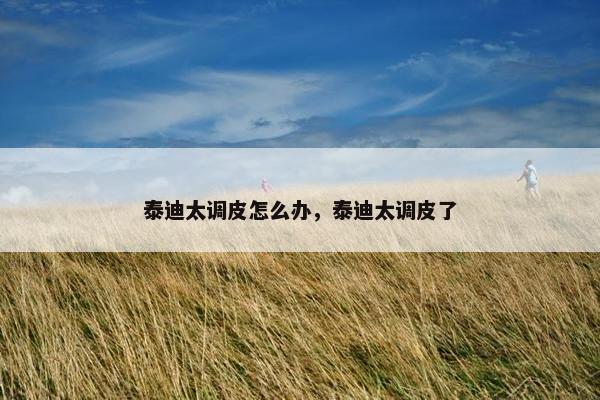 泰迪太调皮怎么办，泰迪太调皮了