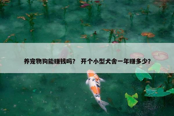 养宠物狗能赚钱吗? 开个小型犬舍一年赚多少?