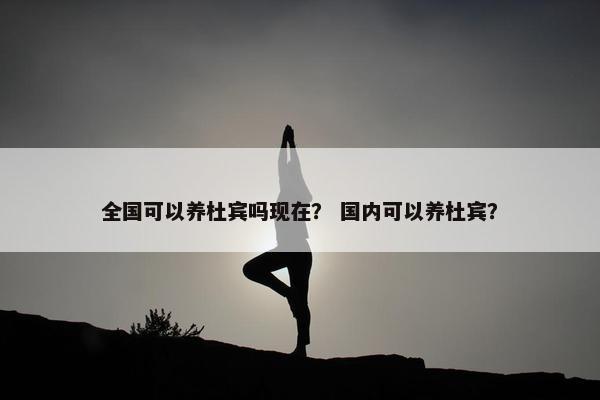 全国可以养杜宾吗现在？ 国内可以养杜宾？