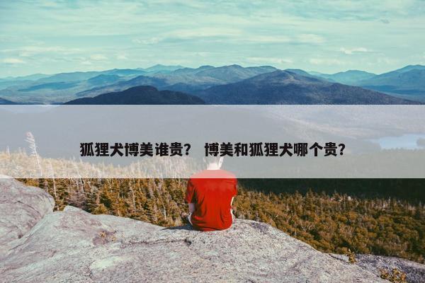 狐狸犬博美谁贵? 博美和狐狸犬哪个贵?