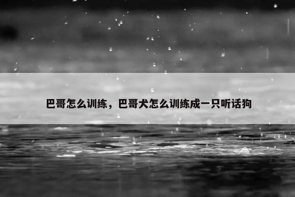巴哥怎么训练,巴哥犬怎么训练成一只听话狗