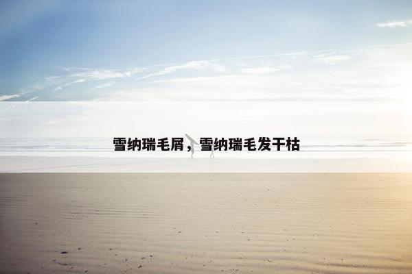 雪纳瑞毛屑，雪纳瑞毛发干枯