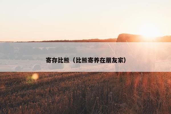 寄存比熊（比熊寄养在朋友家）