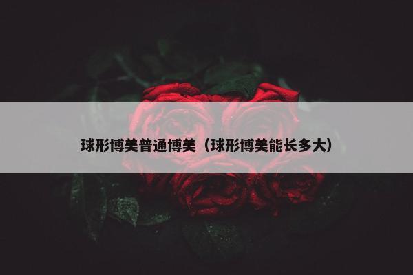 球形博美普通博美（球形博美能长多大）