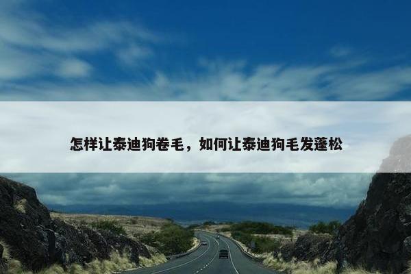 怎样让泰迪狗卷毛，如何让泰迪狗毛发蓬松
