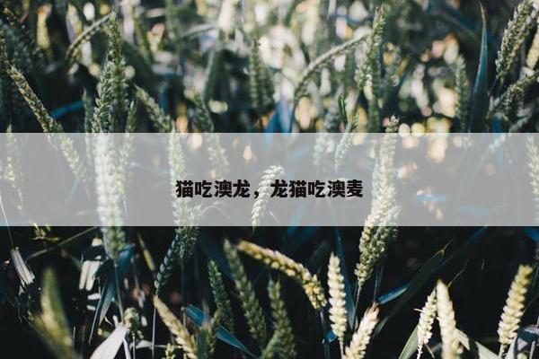 泌尿