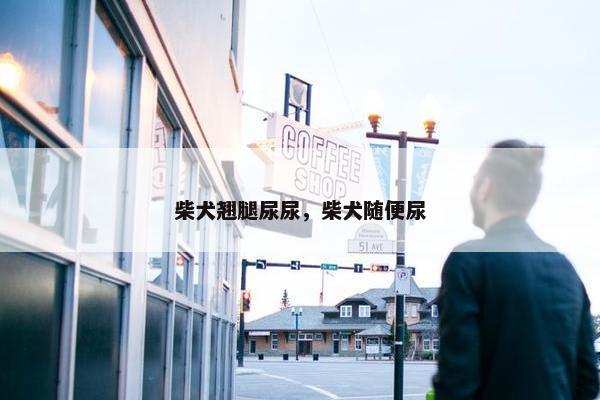 柴犬翘腿尿尿，柴犬随便尿
