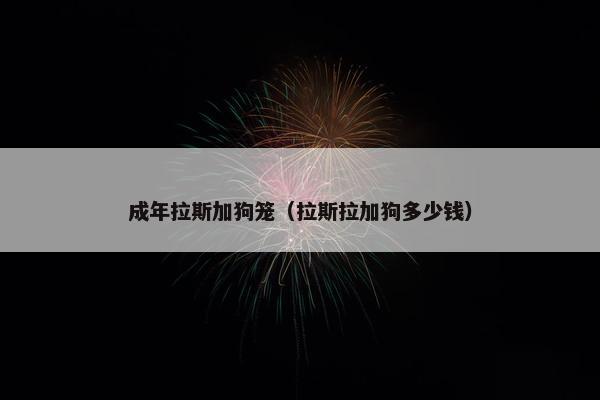 成年拉斯加狗笼（拉斯拉加狗多少钱）