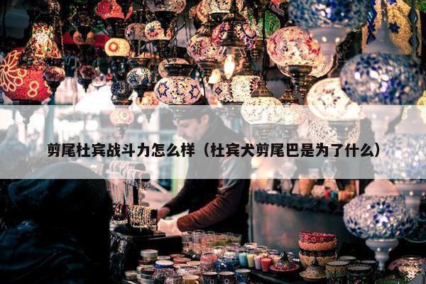 剪尾杜宾战斗力怎么样（杜宾犬剪尾巴是为了什么）