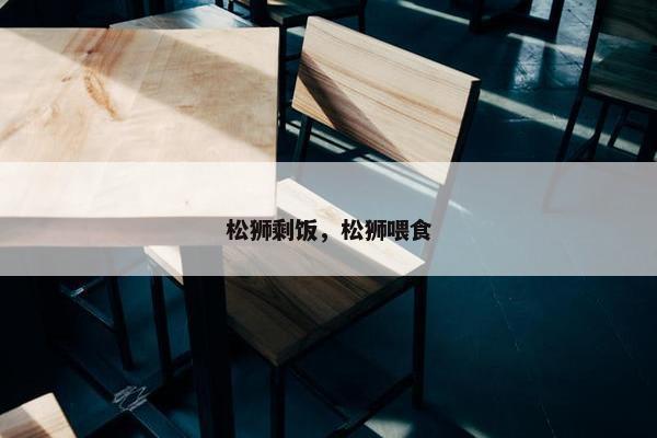 剩饭