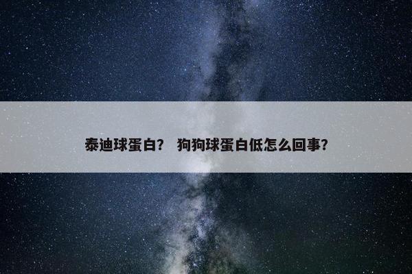 泰迪球蛋白？ 狗狗球蛋白低怎么回事？