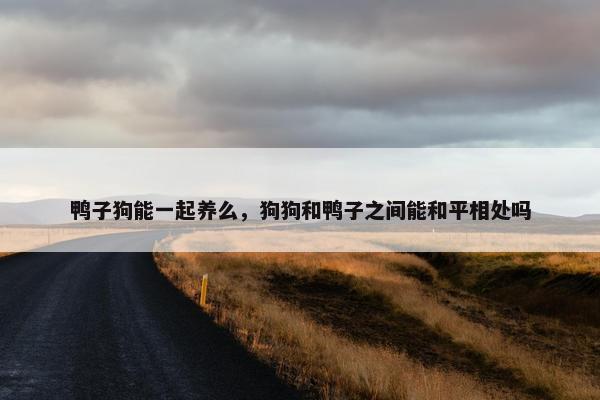 鸭子狗能一起养么，狗狗和鸭子之间能和平相处吗