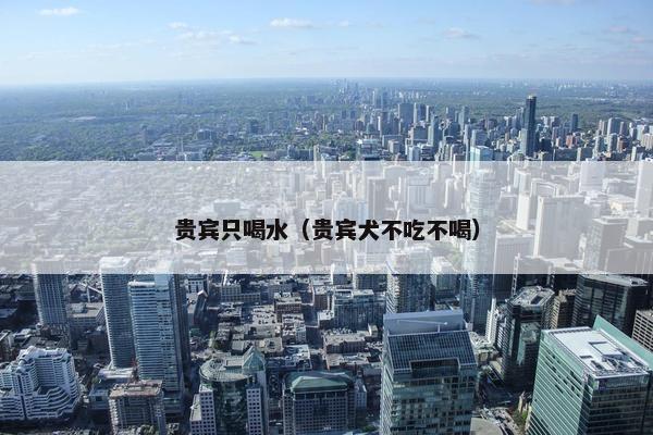 贵宾只喝水（贵宾犬不吃不喝）