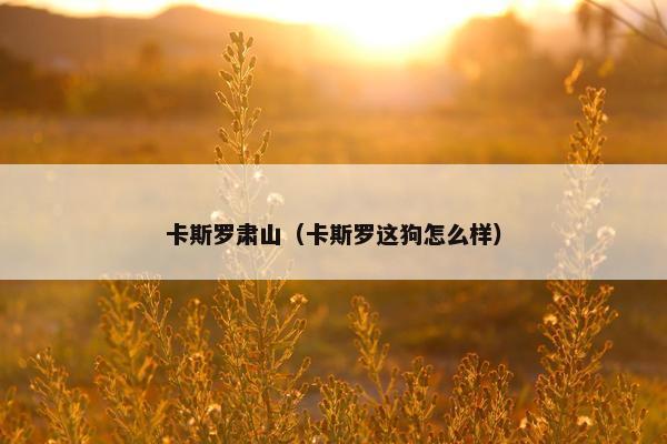 卡斯罗肃山（卡斯罗这狗怎么样）