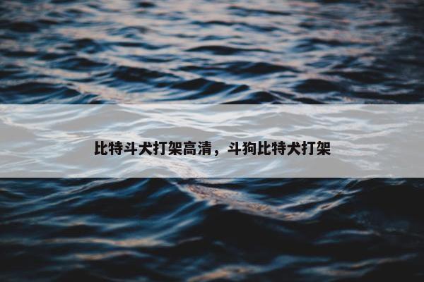 比特斗犬打架高清,斗狗比特犬打架