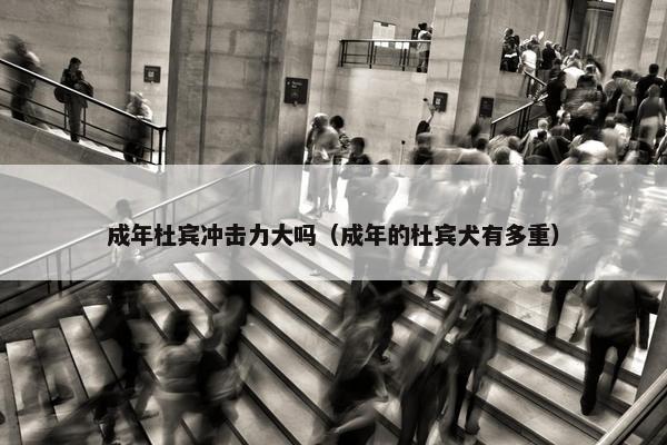 攻击性 第4页