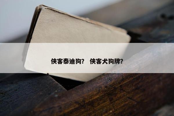 侠客泰迪狗？ 侠客犬狗牌？