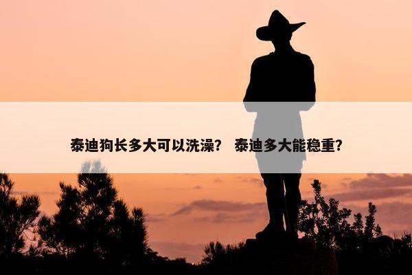 泰迪狗长多大可以洗澡？ 泰迪多大能稳重？