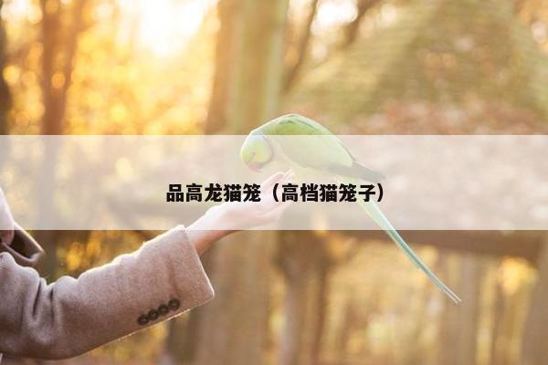 品高龙猫笼（高档猫笼子）