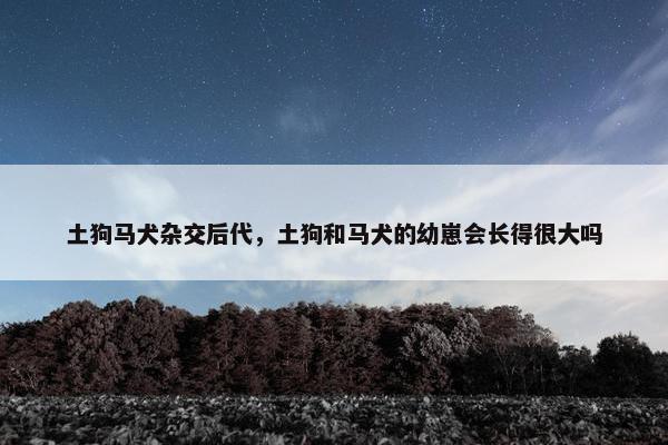 土狗马犬杂交后代,土狗和马犬的幼崽会长得很大吗