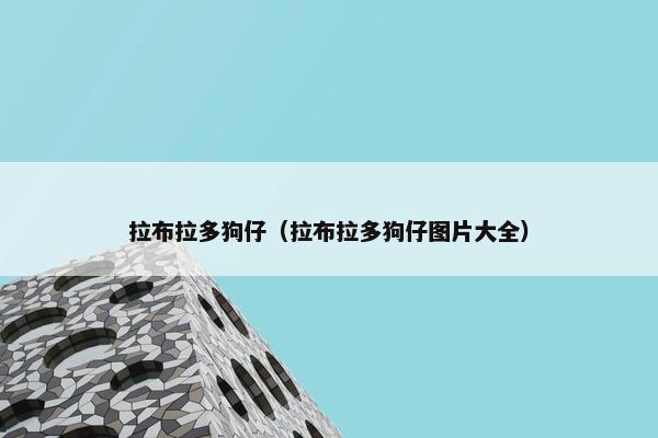 拉布拉多狗仔（拉布拉多狗仔图片大全）
