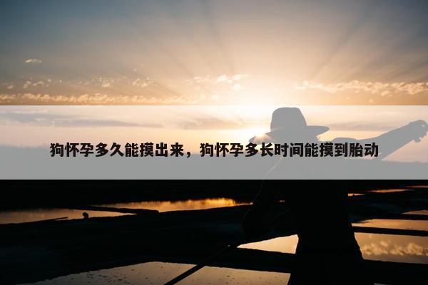 狗怀孕多久能摸出来，狗怀孕多长时间能摸到胎动