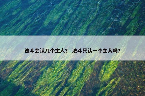 法斗会认几个主人？ 法斗只认一个主人吗？