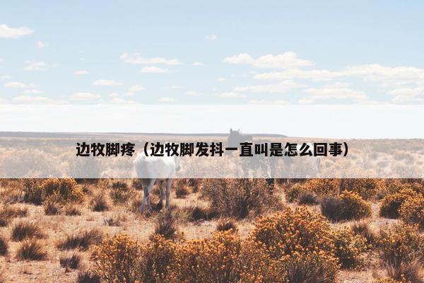 边牧脚疼(边牧脚发抖一直叫是怎么回事)