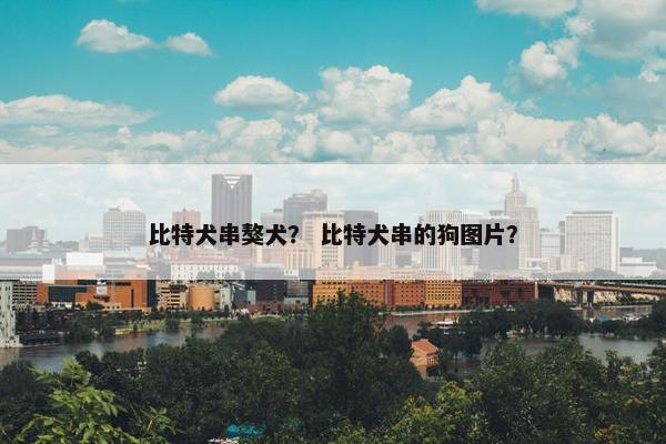 比特犬串獒犬？ 比特犬串的狗图片？