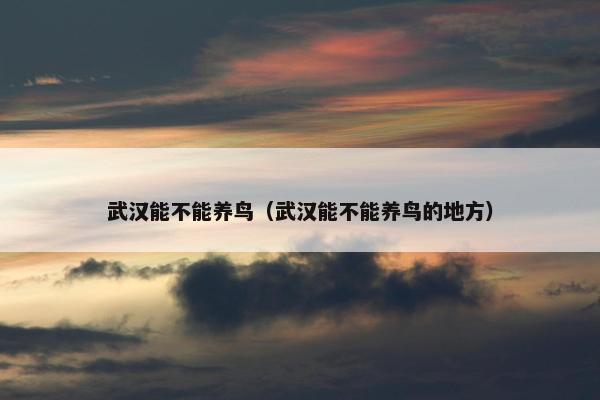 武汉能不能养鸟（武汉能不能养鸟的地方）