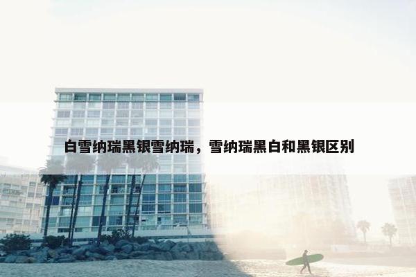 白雪纳瑞黑银雪纳瑞，雪纳瑞黑白和黑银区别
