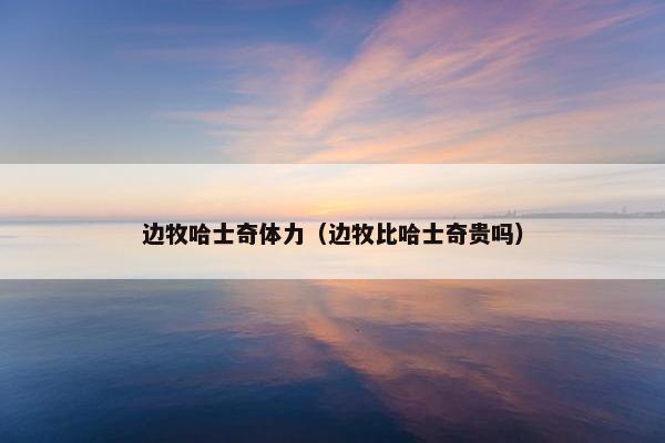 边牧哈士奇体力（边牧比哈士奇贵吗）