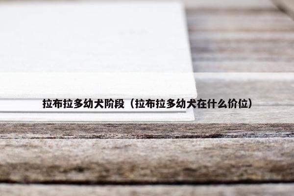 拉布拉多幼犬阶段（拉布拉多幼犬在什么价位）