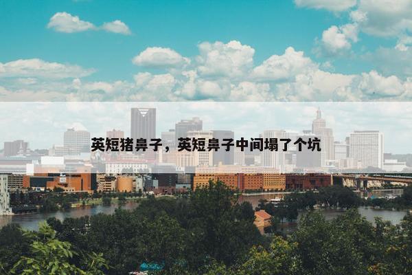 英短猪鼻子，英短鼻子中间塌了个坑