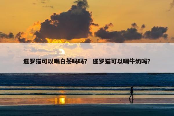 暹罗猫可以喝白茶吗吗？ 暹罗猫可以喝牛奶吗？